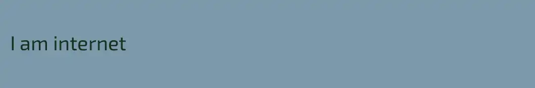 I am internet